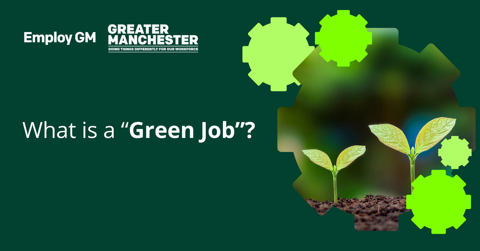 What Is A Green Job Sc Small